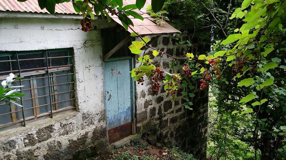 Beşikdüzü Kalegüney Köyü Resimleri 11