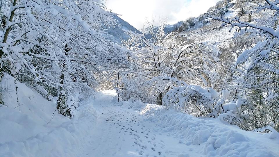 Beşikdüzü Kalegüney Köyü Resimleri 12