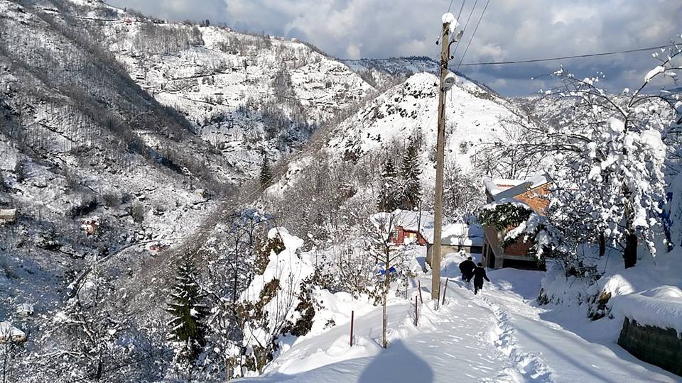 Beşikdüzü Kalegüney Köyü Resimleri 14