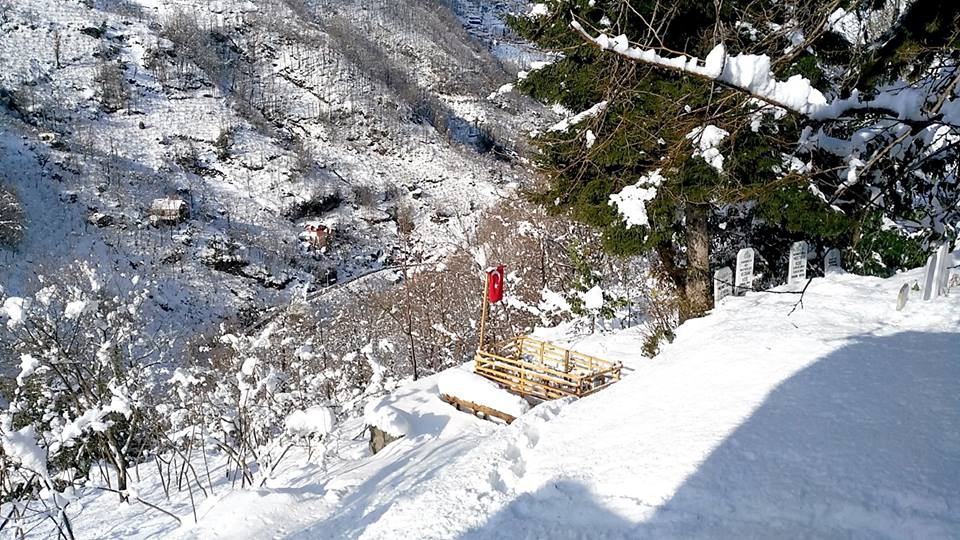 Beşikdüzü Kalegüney Köyü Resimleri 15