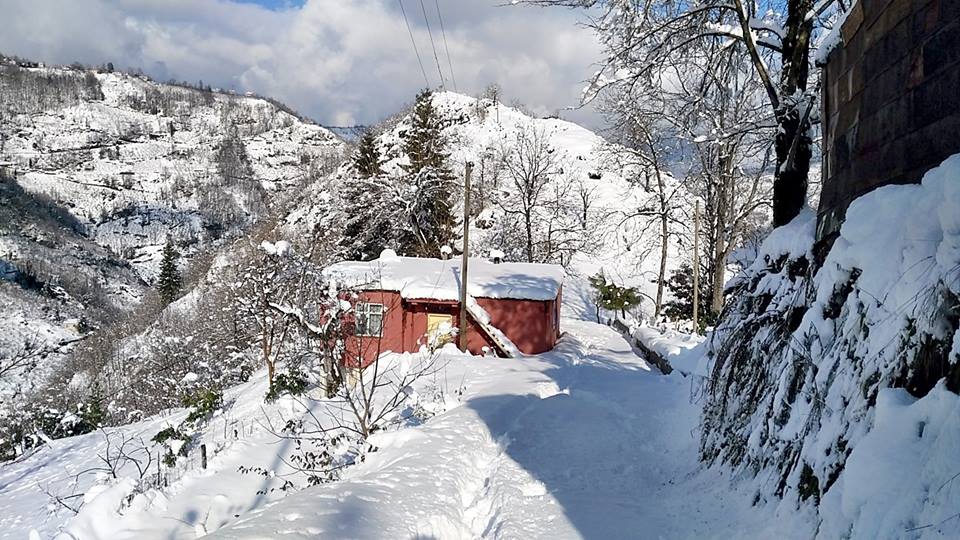 Beşikdüzü Kalegüney Köyü Resimleri 17