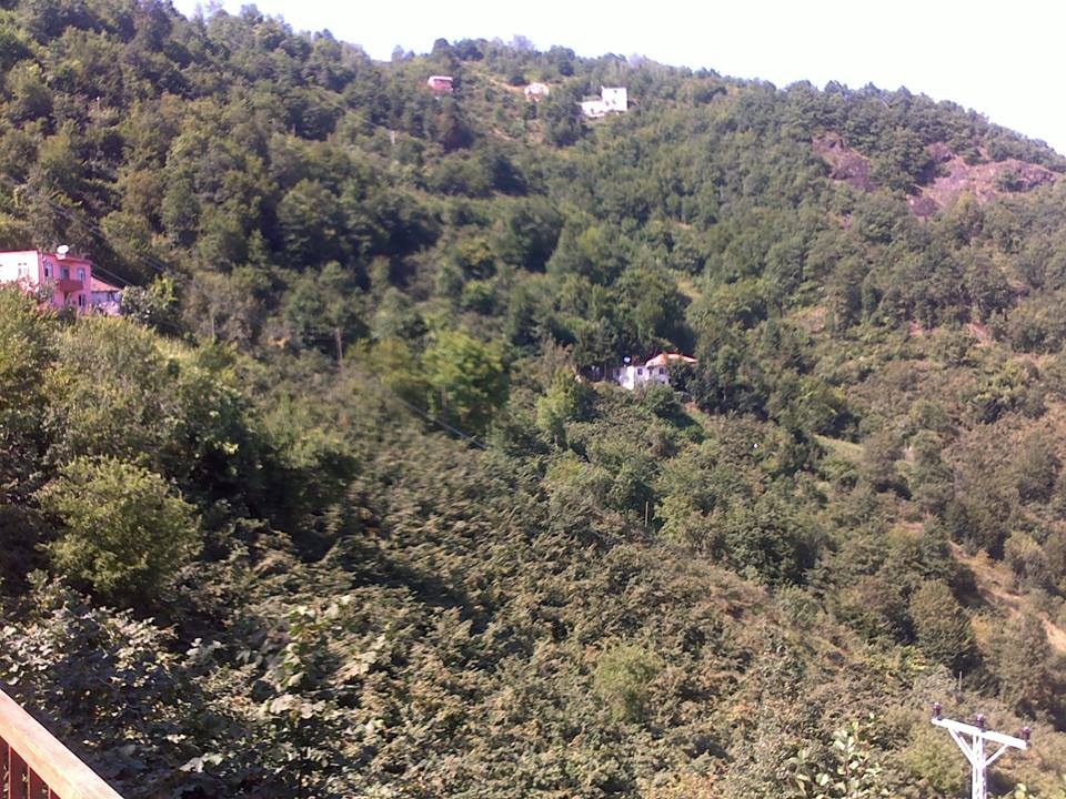 Beşikdüzü Kalegüney Köyü Resimleri 19