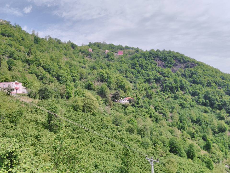 Beşikdüzü Kalegüney Köyü Resimleri 20