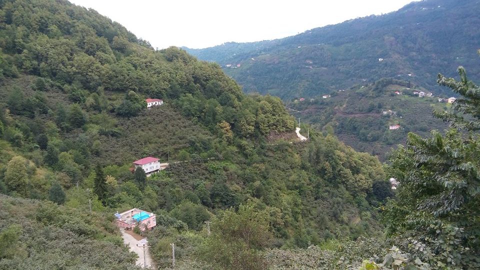 Beşikdüzü Kalegüney Köyü Resimleri 21