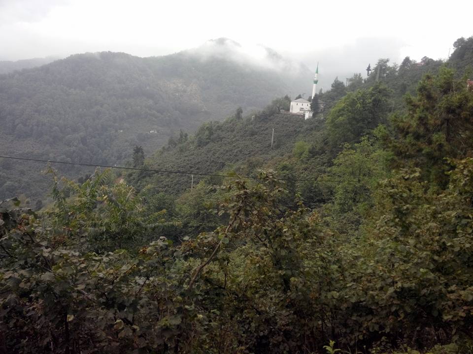Beşikdüzü Kalegüney Köyü Resimleri 22