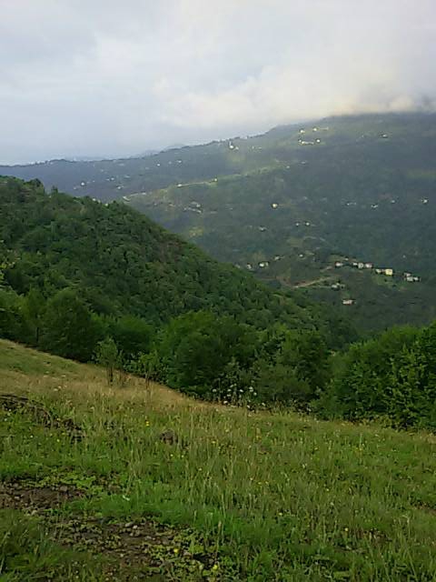 Beşikdüzü Kalegüney Köyü Resimleri 23