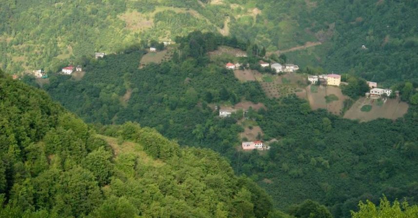 Beşikdüzü Kalegüney Köyü Resimleri 3