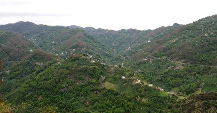 Beşikdüzü Kalegüney Köyü Resimleri 4