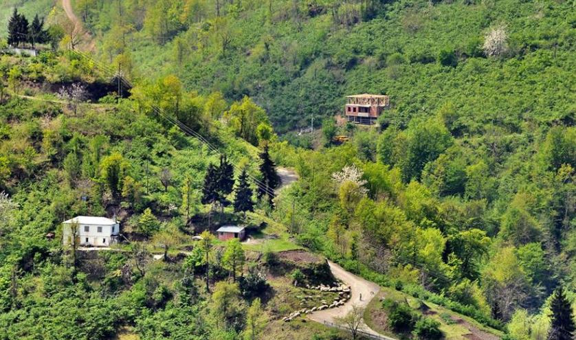 Beşikdüzü Kalegüney Köyü Resimleri 5