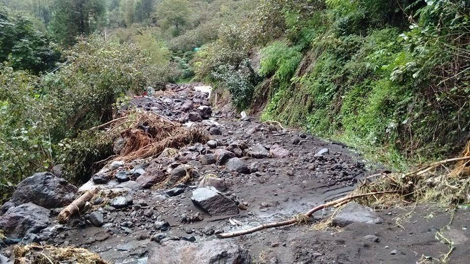 Beşikdüzü Kalegüney Köyü Resimleri 6