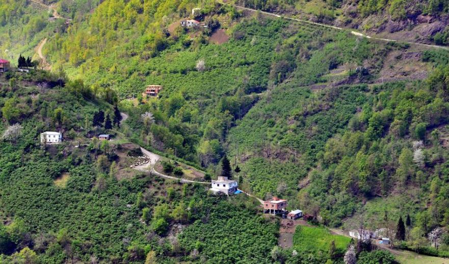 Beşikdüzü Kalegüney Köyü Resimleri 7