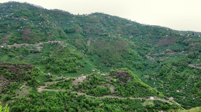 Beşikdüzü Kalegüney Köyü Resimleri 8