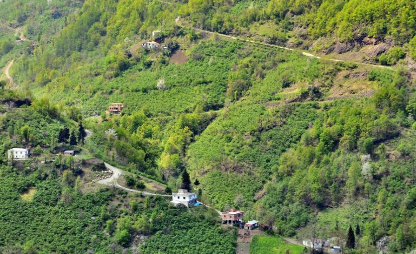 Beşikdüzü Kalegüney Köyü Resimleri 9