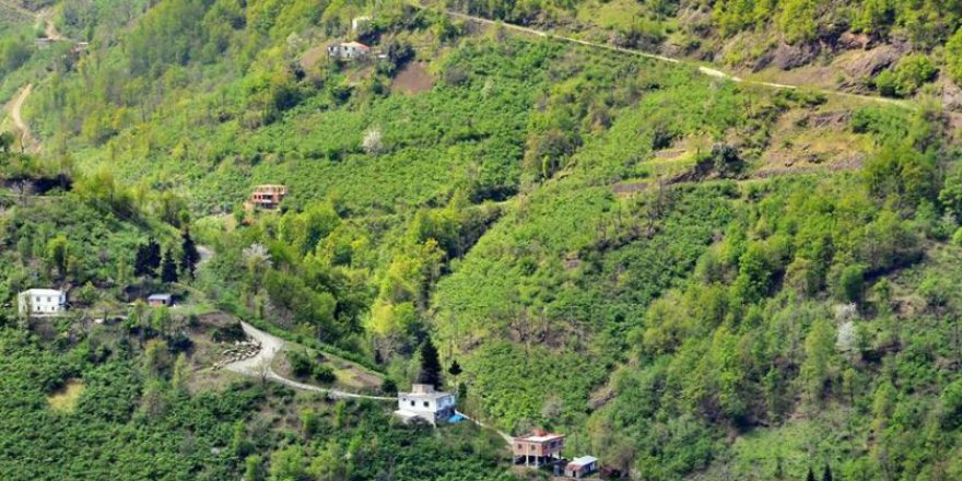 Beşikdüzü Kalegüney Köyü Resimleri