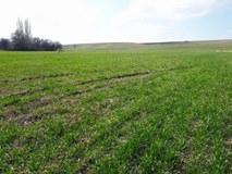 Balışeyh Yenili  Köyü Resimleri 3