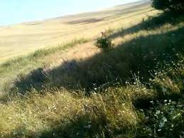 Balışeyh Yenili  Köyü Resimleri 4