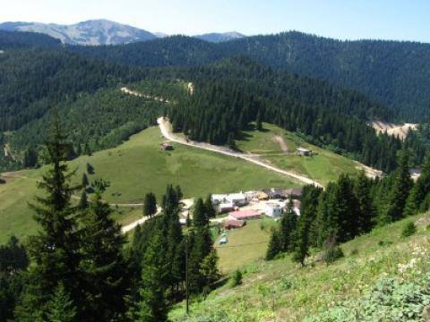 Beşikdüzü Korkuthan Köyü Resimleri 3