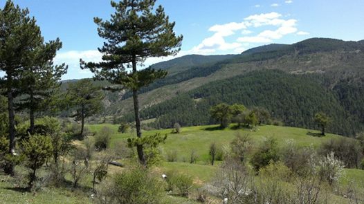 Azdavay Karahalılılar Köyü Resimleri 3