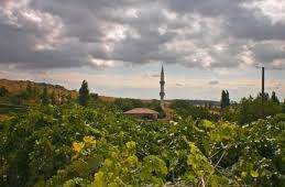 Çelebi Kepirli Köyü Resimleri 2