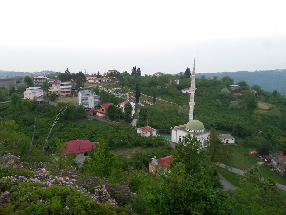 Beşikdüzü Kutluca Köyü Resimleri 8
