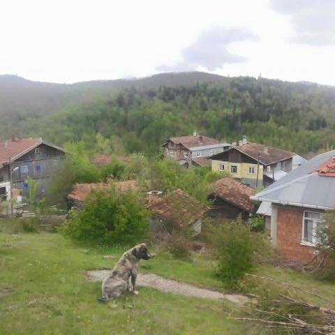 Azdavay Kırcalar Köyü Resimleri 7