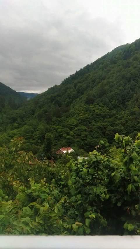 Azdavay Kolca Köyü Resimleri 5