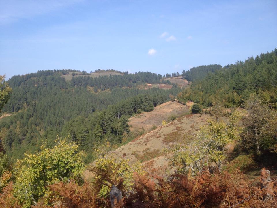 Azdavay Kolca Köyü Resimleri 6