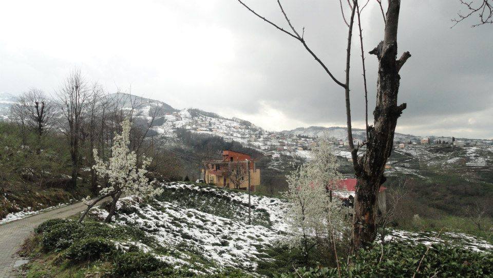 Beşikdüzü Oğuz Köyü Resimleri 4