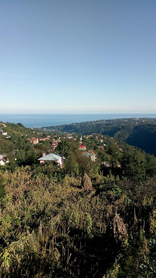 Beşikdüzü Oğuz Köyü Resimleri 5