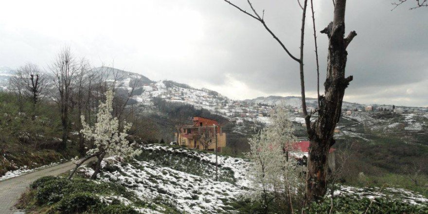 Beşikdüzü Oğuz Köyü Resimleri