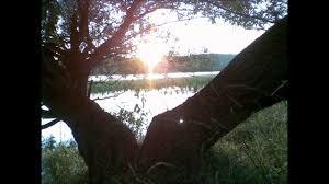 Çelebi Kaldırım Köyü Resimleri 8