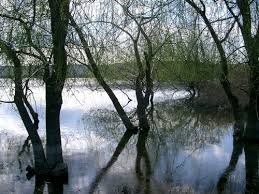 Çelebi Karabucak  Köyü Resimleri 1