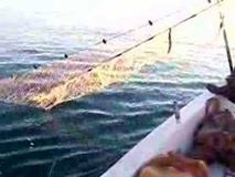 Çelebi Karabucak  Köyü Resimleri 4