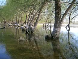 Çelebi Karabucak  Köyü Resimleri 6