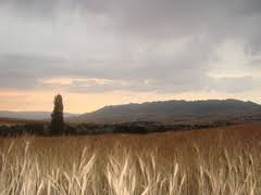 Çelebi Karahacılı Köyü Resimleri 6