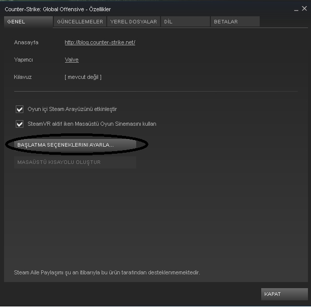 Counter Strike'de Ffs Arttırma (NVİDA) 6