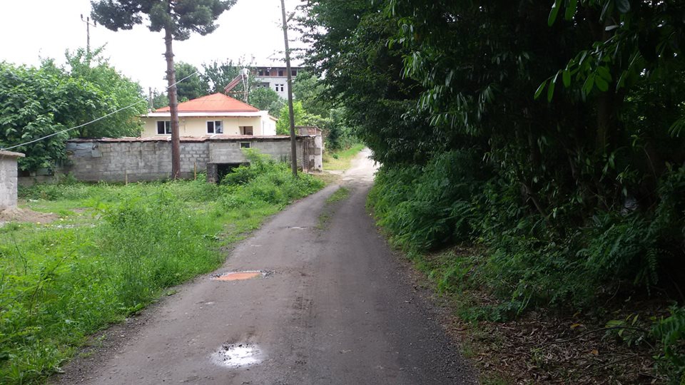 Beşikdüzü Sayvancık Köyü Resimleri 16