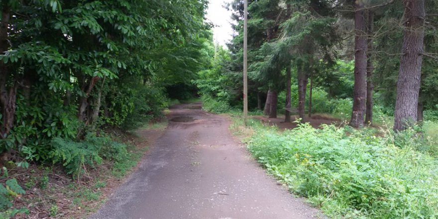 Beşikdüzü Sayvancık Köyü Resimleri