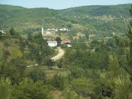 Bozkurt Keşlik Köyü Resimleri 5