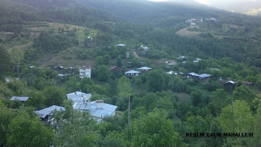Bozkurt Keşlik Köyü Resimleri 6