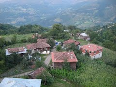 Bozkurt Kızılcaelma Köyü Resimleri 3