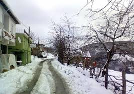 Bozkurt Yaşarlı Köyü Resimleri 1