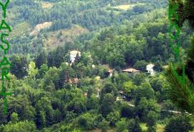 Bozkurt Yaşarlı Köyü Resimleri 2