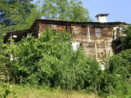 Bozkurt Yaşarlı Köyü Resimleri 3