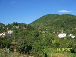 Bozkurt Yaşarlı Köyü Resimleri 5