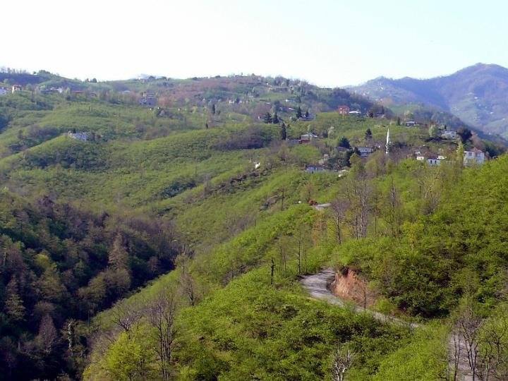 Beşikdüzü Takazlı Köyü Resimleri 10