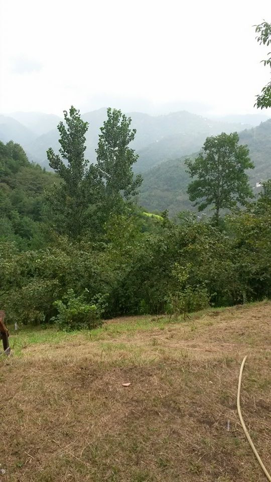 Beşikdüzü Takazlı Köyü Resimleri 15