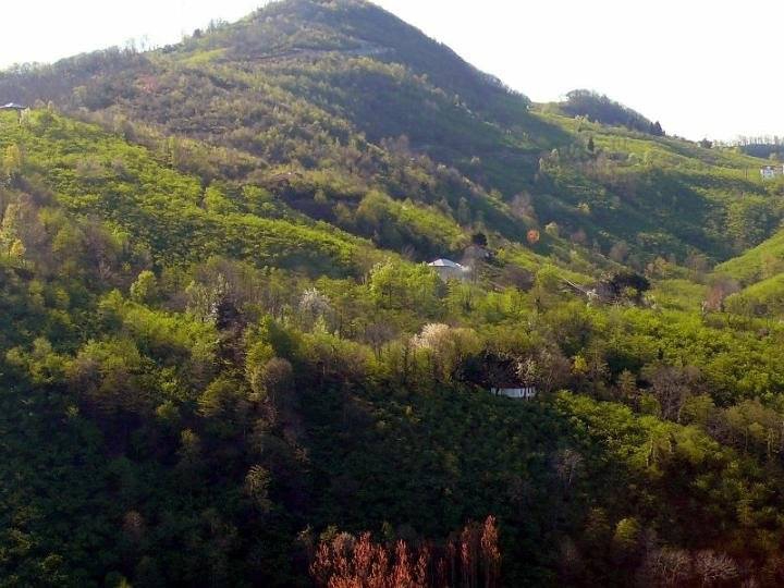 Beşikdüzü Takazlı Köyü Resimleri 29