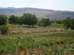 Delice Baraklı Köyü Resimleri 8