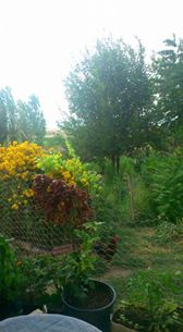 Delice Bozköy Köyü Resimleri 1